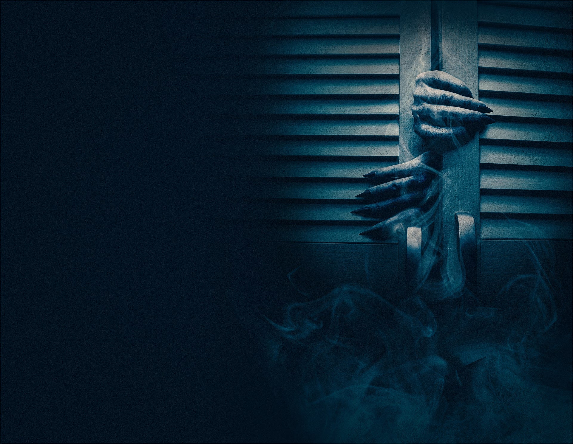 Suncoast Paranormal